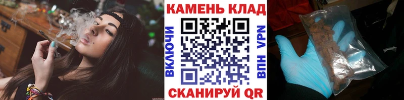 где можно купить наркотик  Владикавказ  Гашиш индика сатива 