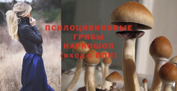соль курить ск Абаза