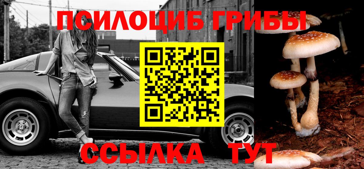 Галлюциногенные грибы прущие грибы  Вход с VPN  Владикавказ 