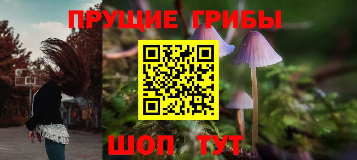 Псилоцибиновые грибы Magic Shrooms Владикавказ